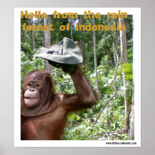 Het regenwoud van Orangutan is welkom Poster