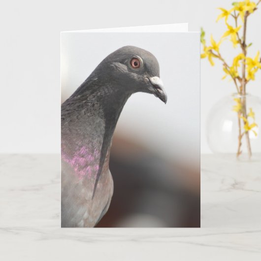 Het rennen duif kaart (Gele Bloem)