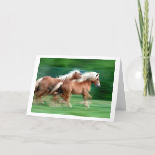 Het rennende Wenskaart van Paarden Palomino Kaart