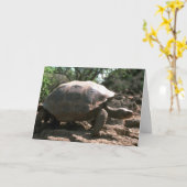 Het reuze Koepelvormige Lopen van de Schildpad Kaart (Gele Bloem)