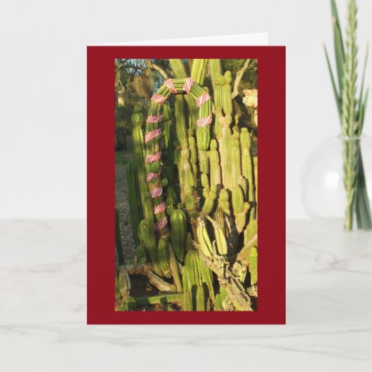 Het rietcactus van het snoep feestdagen kaart (Voorkant)