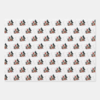 Het rijk van de Raven Inpakpapier Vel