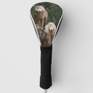 Het rijk van de witte wolven golfheadcover