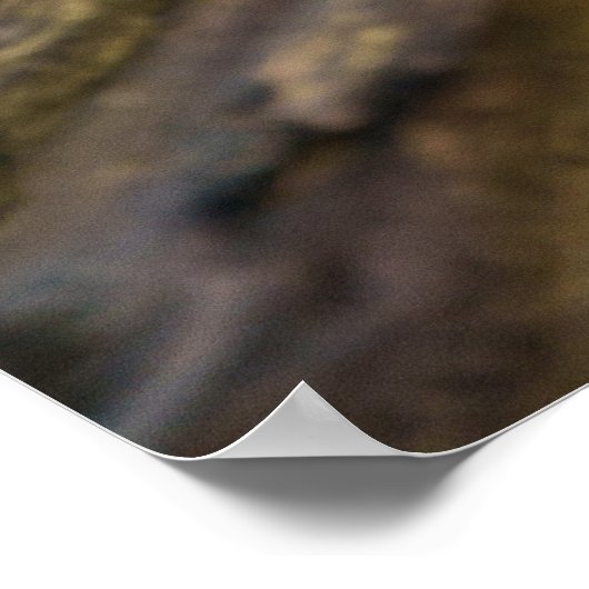 Het rijk van de witte wolven poster (Hoek)