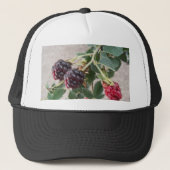 Het rijpen van Blackberries op een Trucker Pet (Voorkant)
