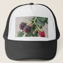 Het rijpen van Blackberries op een Trucker Pet