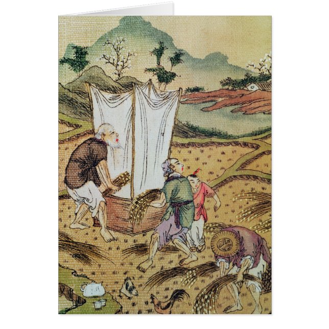 Het rijstverhaal (Voorkant)