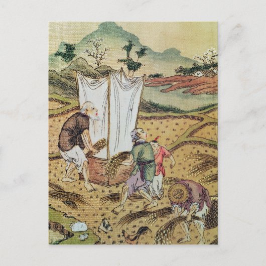 Het rijstverhaal briefkaart (Voorkant)