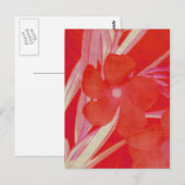 Het rode Briefkaart van de Bloem (Voorkant / Achterkant)