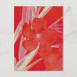 Het rode Briefkaart van de Bloem