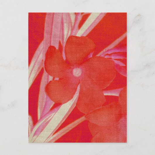 Het rode Briefkaart van de Bloem (Voorkant)
