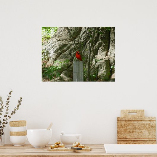 HET RODE CARDINALE poster (Keuken)