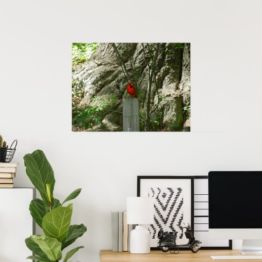 HET RODE CARDINALE poster (Thuiskantoor)