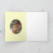 Het rode De steel verwijderde van Wenskaart van de Kaart (Binnen)