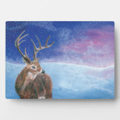 Het rode Deer Cervus elaphus en het winterlandscha Fotoplaat (voorkant)