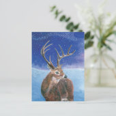 Het rode hert (Cervus elaphus) in de winter Briefkaart (Staand voorkant)