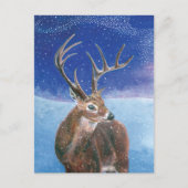 Het rode hert (Cervus elaphus) in de winter Briefkaart (Voorkant)