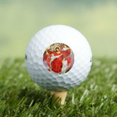 Het Rode Kruis (Kroatie van Jezus Christus) Golfballen (Insitu Shirt)