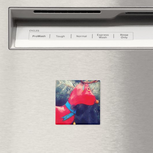 Het rode rendier magneet (Insitu (Vaatwasser))