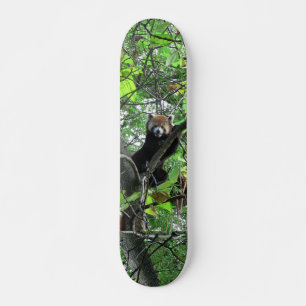 Het rode Skateboard van de Panda