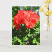Het rode Wenskaart van de Bloem van de Geranium, Kaart (Gele Bloem)