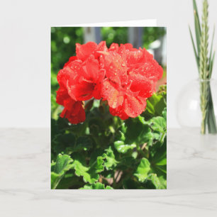 Het rode Wenskaart van de Bloem van de Geranium, Kaart