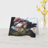 Het rode Wenskaart van de Havik van de Staart Kaart (Gele Bloem)