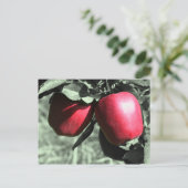 Het rode Zwarte Witte Briefkaart van Appelen (Staand voorkant)