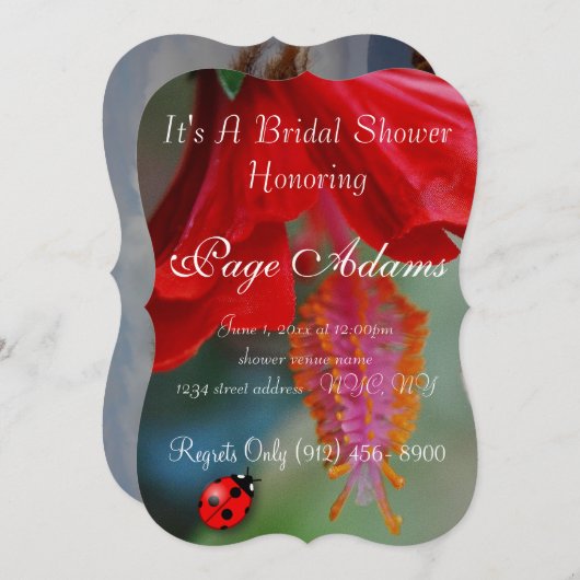 Het romantische Lot van het Vrijgezellenfeest van Kaart (Voorkant / Achterkant)