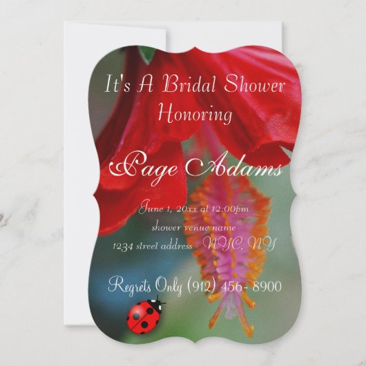 Het romantische Lot van het Vrijgezellenfeest van Kaart (Voorkant)