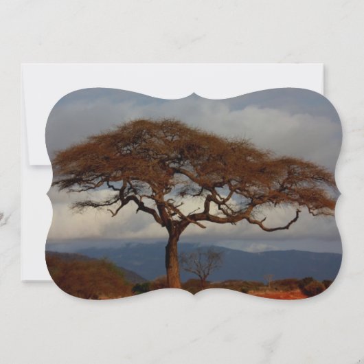 Het romantische Lot van het Vrijgezellenfeest van Kaart (Achterkant)