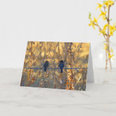 Het romantische paar van de musvogel, de Groet van Kaart (Gele Bloem)