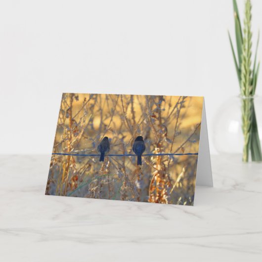 Het romantische paar van de musvogel, de Groet van Kaart (Voorkant)