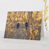 Het romantische paar van de musvogel, de Grote Kaart (Gele Bloem)