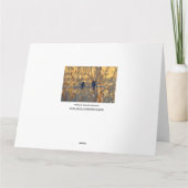 Het romantische paar van de musvogel, de Grote Kaart (Achterkant)