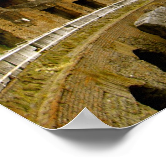 Het Romeinse Colosseum Poster (Hoek)