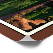 Het Romeinse Colosseum Poster (Hoek)