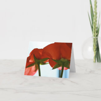 Het rood nam de Kaart van de Bodem toe