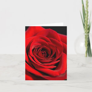 HET ROOD NAM DE KAARTEN VAN DE NOTA TOE