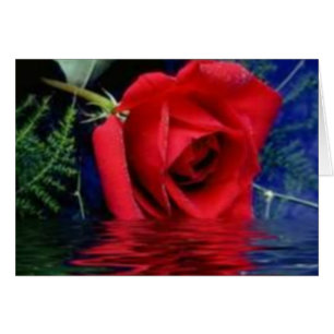 Het rood nam toe