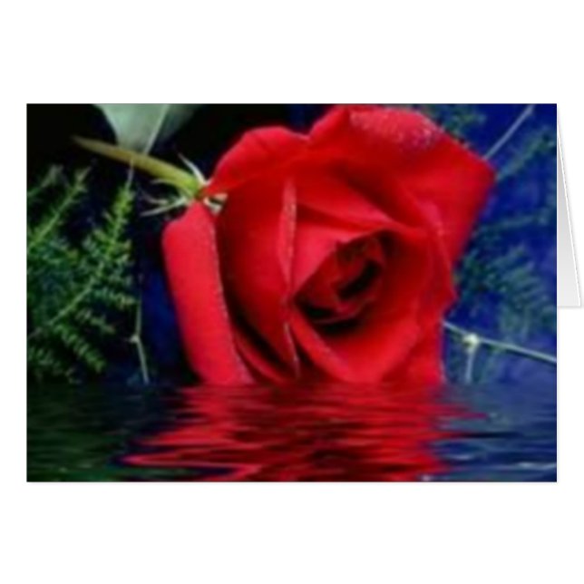 Het rood nam toe (Voorkant Horizontaal)