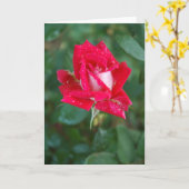 Het rood nam toe kaart (Gele Bloem)