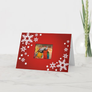 Het Rood van de Kaart van de papegaai