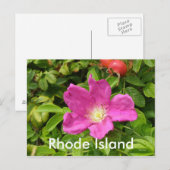 Het Roos Briefkaart (Voorkant / Achterkant)
