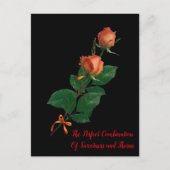 Het Roos Briefkaart (Voorkant)