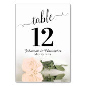 Het Roos Elegant Wedding reflecteren op Sepia Peac Kaart (Achterkant)