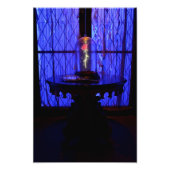 Het Roos Foto Afdruk (Voorkant)