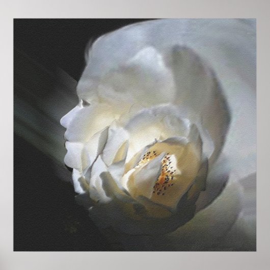 Het Roos Poster (Voorkant)