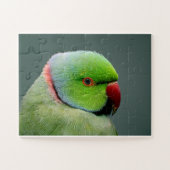 Het Roos Ringed Paraket Legpuzzel (Horizontaal)