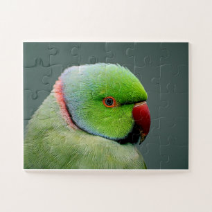 Het Roos Ringed Paraket Legpuzzel